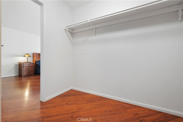 spacious closet featuring wood-type flooring