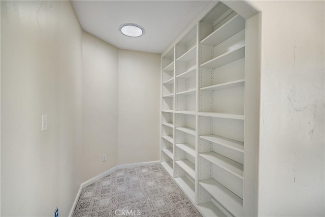 walk in closet with light colored carpet