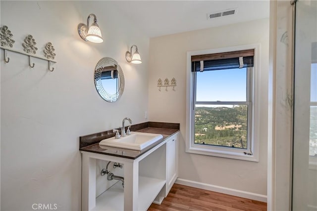 bathroom featuring vanity and wood-type flooring