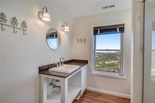 bathroom featuring baseboards, visible vents, wood finished floors, and vanity
