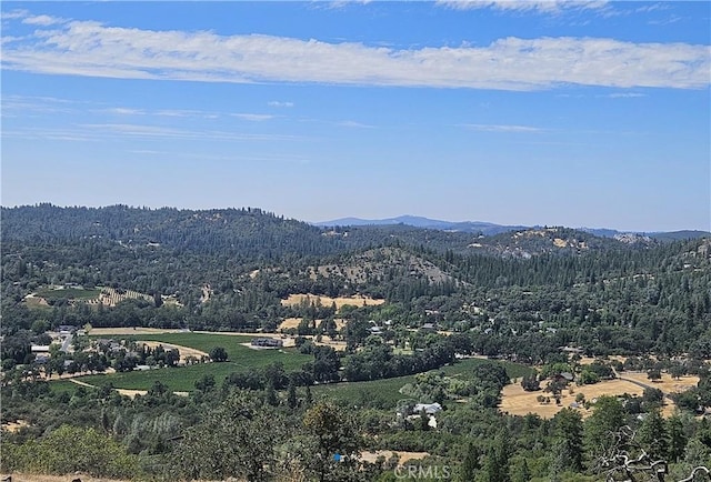 drone / aerial view with a forest view and a mountain view