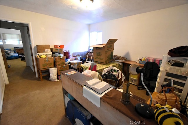 home office featuring light carpet