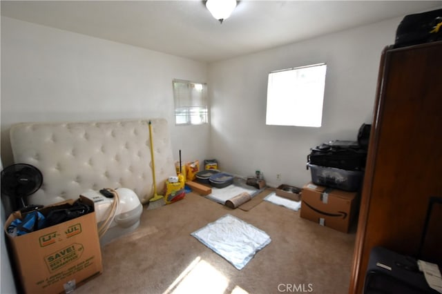 bedroom featuring carpet floors