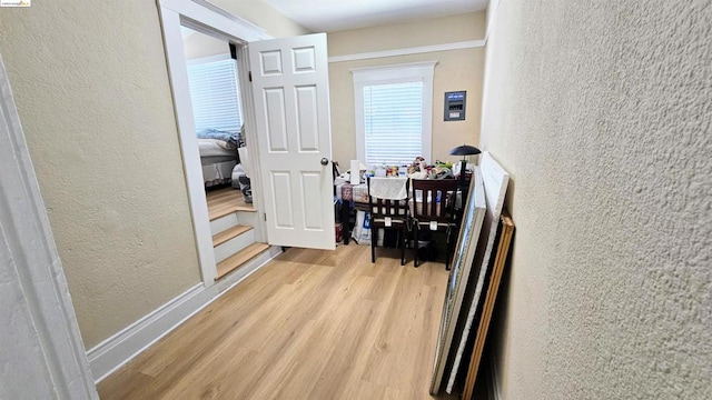 hall with light hardwood / wood-style flooring