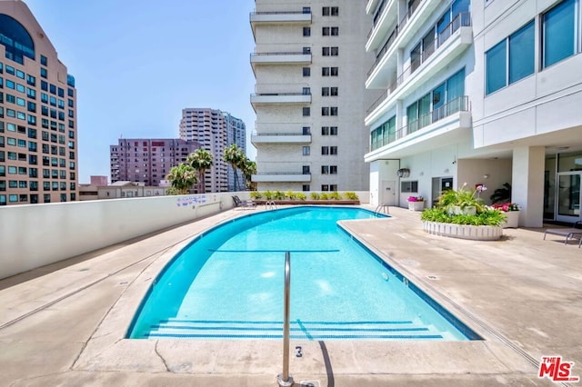 view of pool featuring a patio