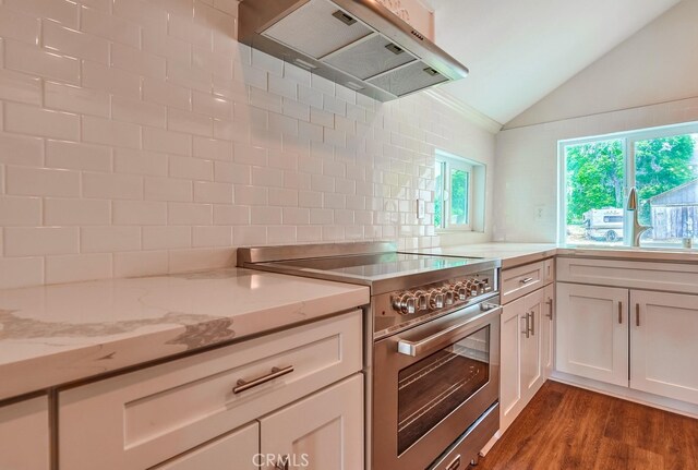 21457 Pecan St, Wildomar, CA 92595 - kitchen featuring high end stainless steel range, exhaust hood, lofted ceiling, white cabinetry, and dark wood-style floors