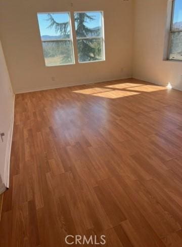 empty room featuring a wealth of natural light and wood finished floors