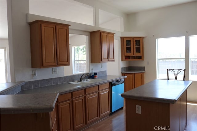 kitchen featuring plenty of natural light, sink, dark hardwood / wood-style floors, and stainless steel dishwasher