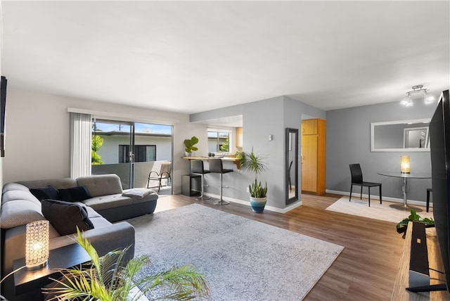 living room featuring dark hardwood / wood-style flooring