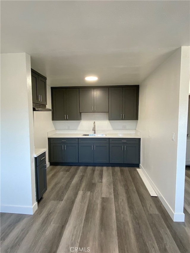 kitchen with sink and dark hardwood / wood-style flooring