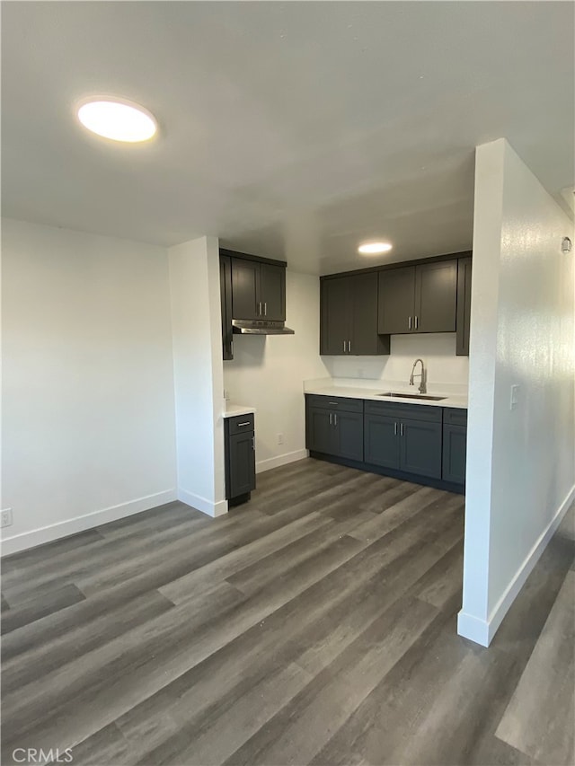 kitchen with dark hardwood / wood-style flooring and sink