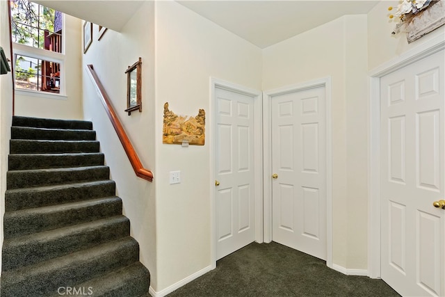 staircase with dark carpet