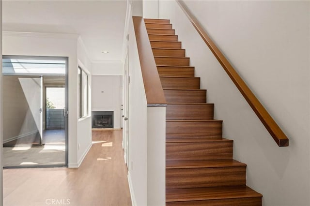 stairs featuring wood-type flooring and crown molding