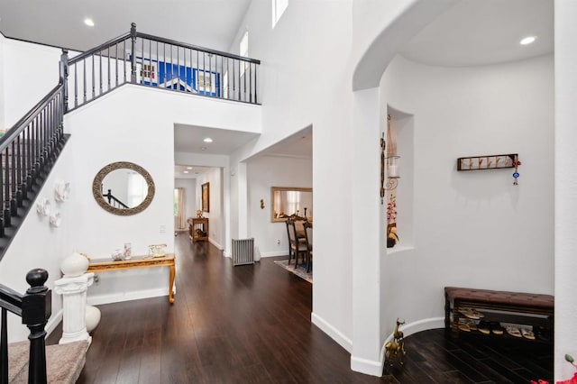 foyer with a towering ceiling and dark hardwood / wood-style flooring