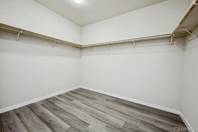 spacious closet with dark wood-type flooring