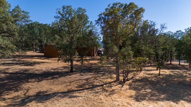 Listing photo 3 for 19697 Donkey Hill Rd, Hidden Valley Lake CA 95467