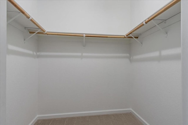 walk in closet featuring carpet flooring