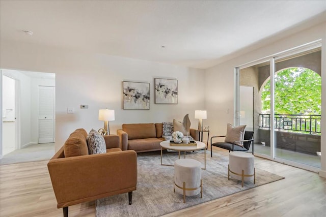 living room with light hardwood / wood-style floors