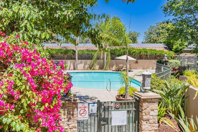 view of pool with a patio