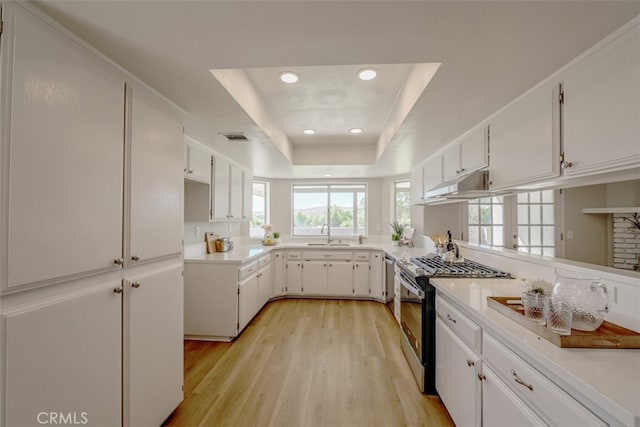 kitchen with light hardwood / wood-style floors, white cabinetry, a raised ceiling, and stainless steel appliances