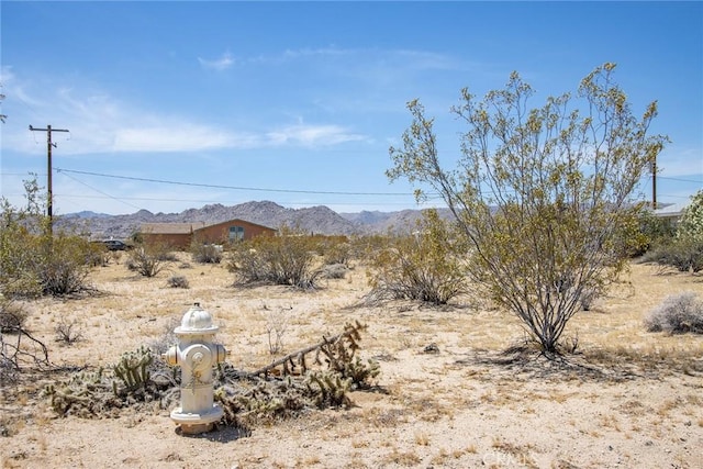 63000 Jadeite St, Joshua Tree, CA 92252