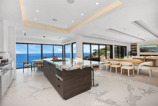 kitchen featuring a large island, a tray ceiling, white cabinetry, a water view, and dark brown cabinetry