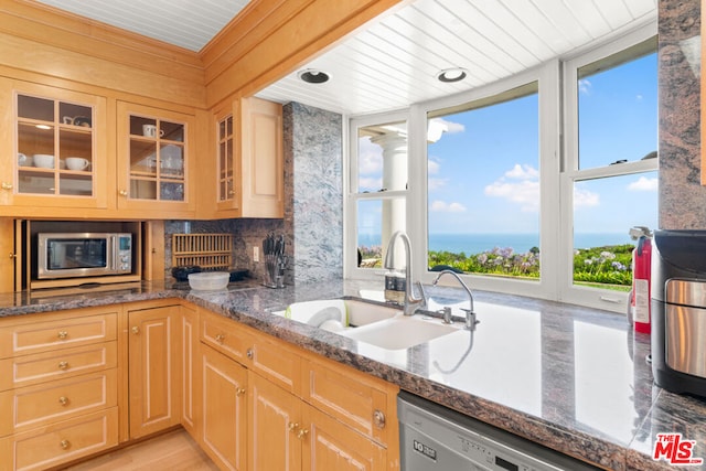 kitchen featuring dark stone counters, appliances with stainless steel finishes, plenty of natural light, and sink