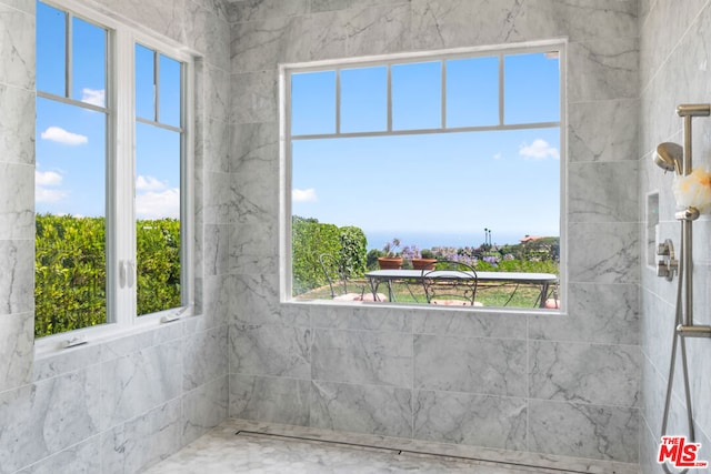 bathroom with a healthy amount of sunlight