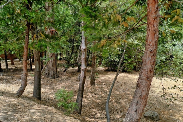 27513 Meadow Bay Dr, Lake Arrowhead CA, 92352 land for sale