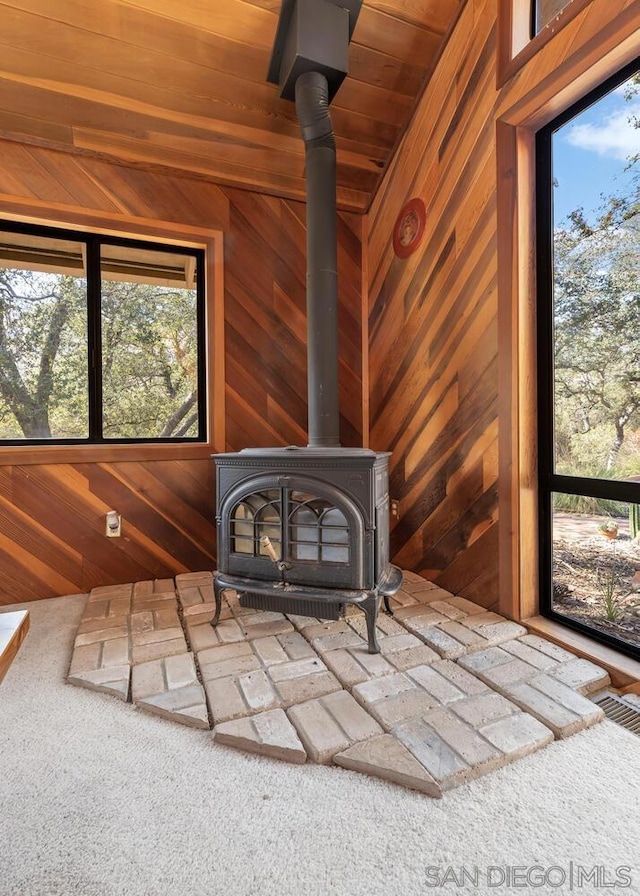 details featuring wooden ceiling, carpet, a wood stove, and wooden walls