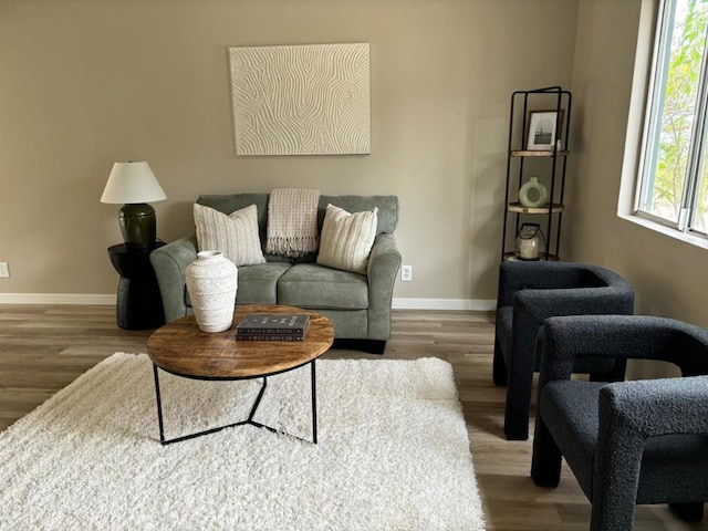 living room featuring hardwood / wood-style floors