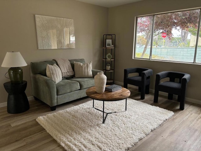 living room featuring wood-type flooring