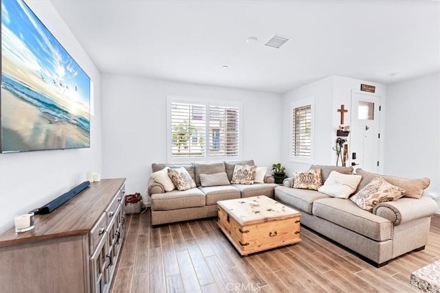 living room featuring wood-type flooring