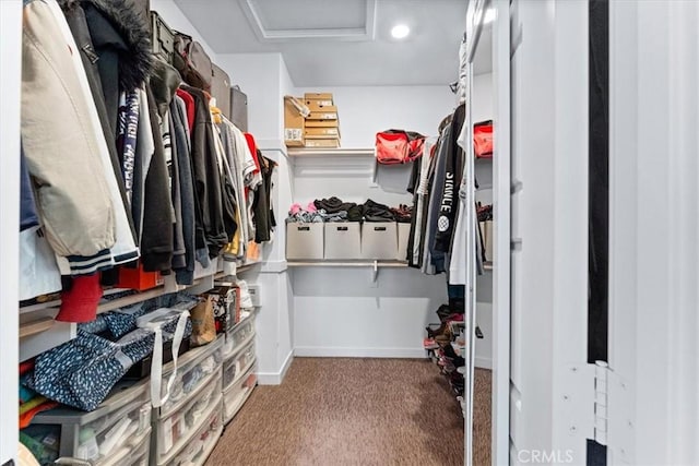 walk in closet featuring carpet floors