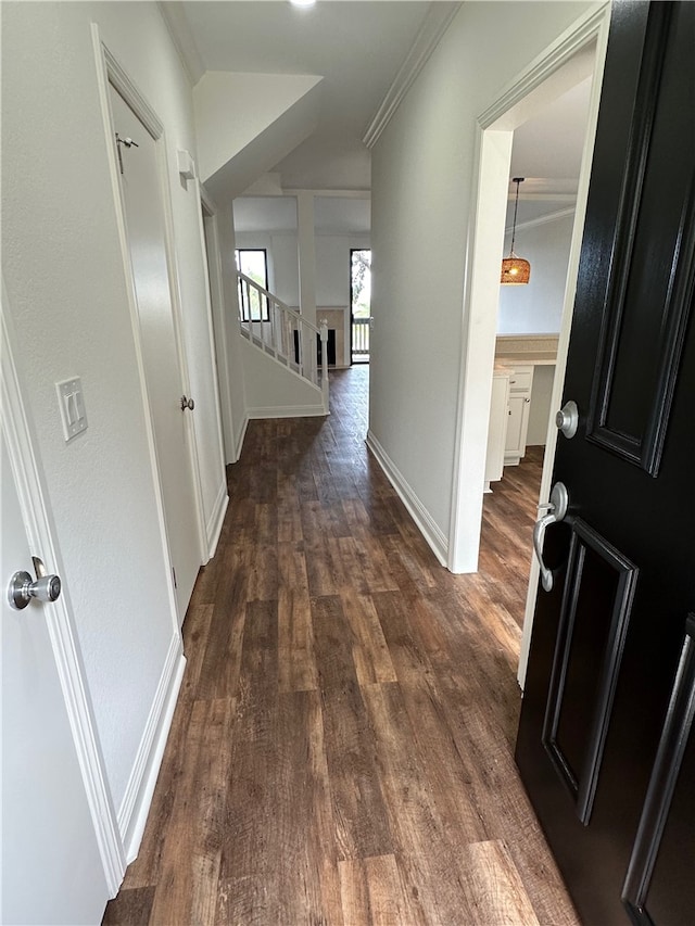 hall featuring crown molding and dark hardwood / wood-style flooring