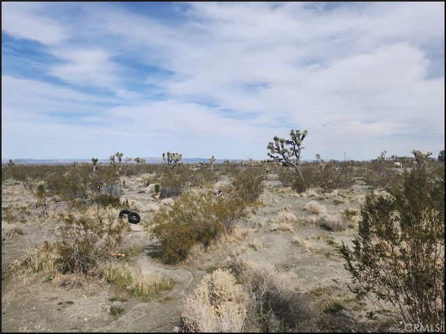 0 Duncan Rd, Pinon Hills, CA 92372