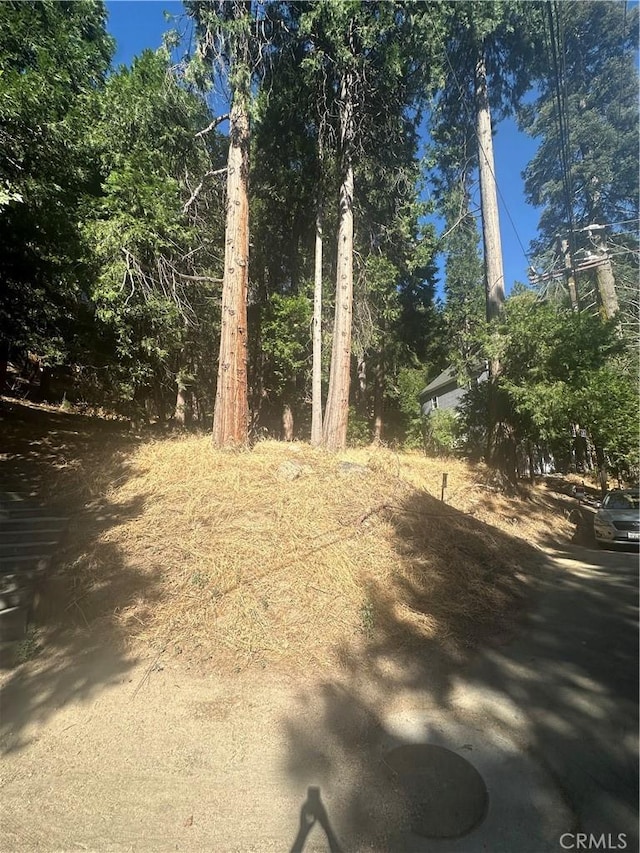 Listing photo 3 for 0 Valle Dr, Crestline CA 92325