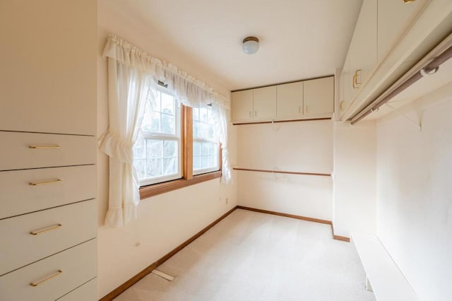 spacious closet with light carpet