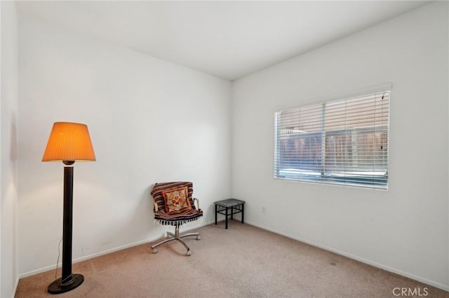 living area featuring light colored carpet