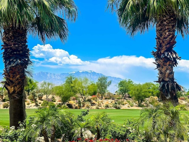 view of home's community featuring a mountain view and a lawn