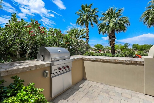 view of patio / terrace with an outdoor kitchen and a grill