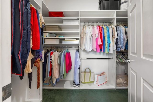 spacious closet featuring carpet flooring