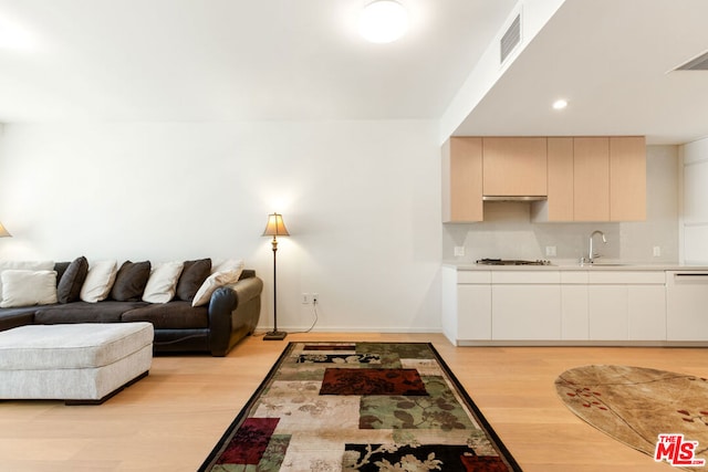 living room featuring sink and light wood-type flooring