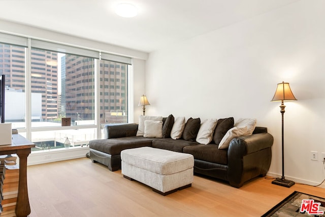 living room featuring hardwood / wood-style floors