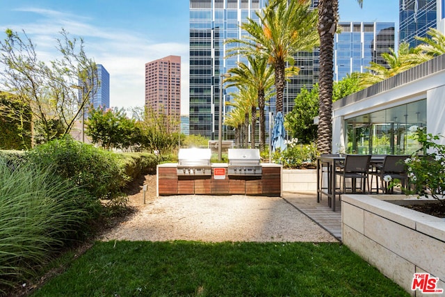 view of property's community featuring an outdoor kitchen and a patio area