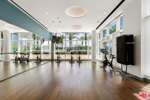 workout area featuring hardwood / wood-style flooring and expansive windows