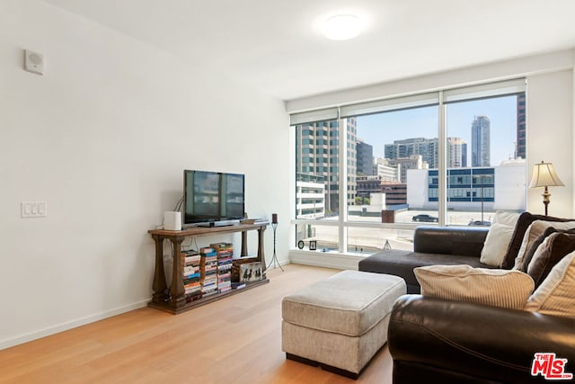 living room with hardwood / wood-style floors