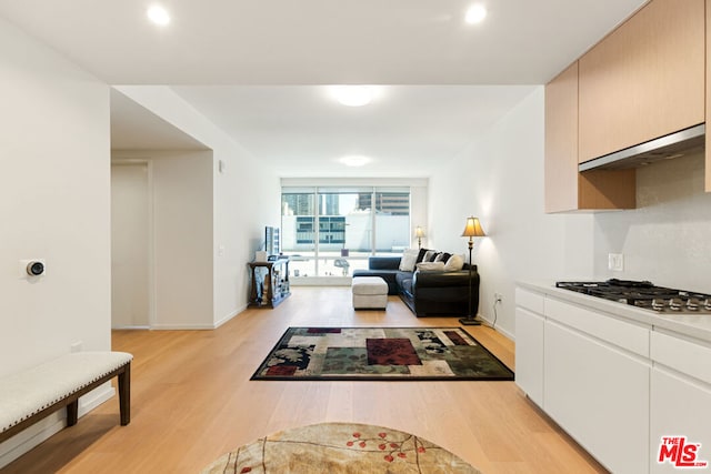 living room with light hardwood / wood-style flooring