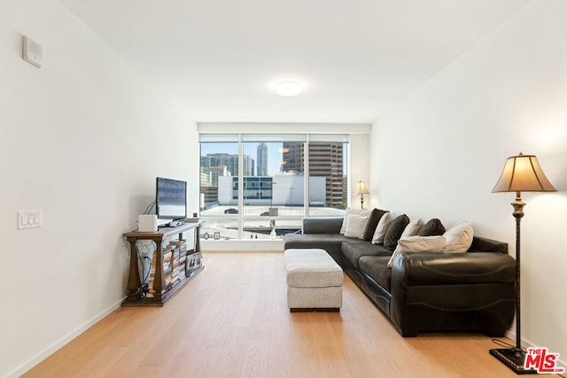 living room featuring hardwood / wood-style floors