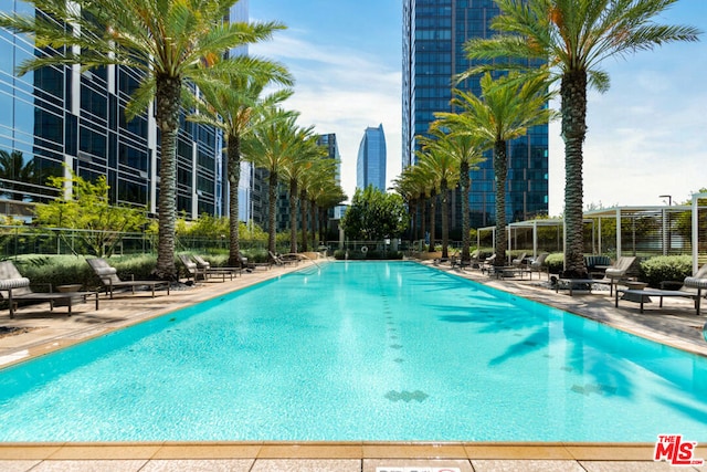 view of pool featuring a patio area